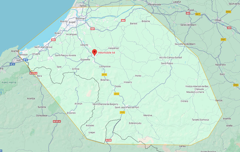 Vétérinaire à domicile au Pays Basque